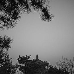 《Ease Out》即将结束免费 好评音乐旋律游戏